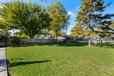 a view of a park with large trees