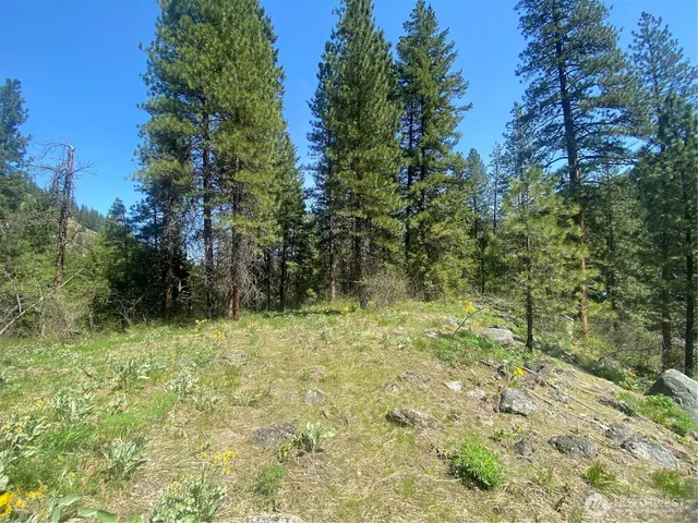 $329,900 | 0 Blewett Highway, Peshastin, WA 98847