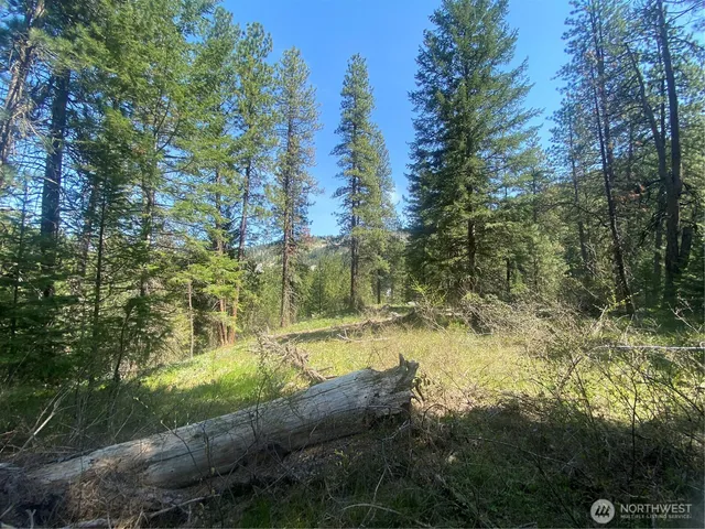 $329,900 | 0 Blewett Highway, Peshastin, WA 98847