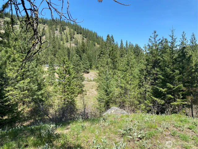 $329,900 | 0 Blewett Highway, Peshastin, WA 98847