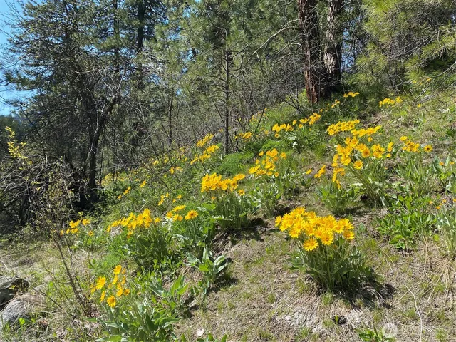 $329,900 | 0 Blewett Highway, Peshastin, WA 98847