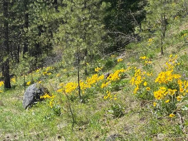 $329,900 | 0 Blewett Highway, Peshastin, WA 98847