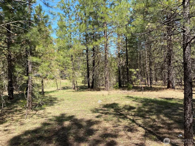 $329,900 | 0 Blewett Highway, Peshastin, WA 98847