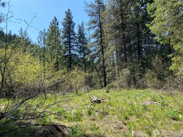 $329,900 | 0 Blewett Highway, Peshastin, WA 98847