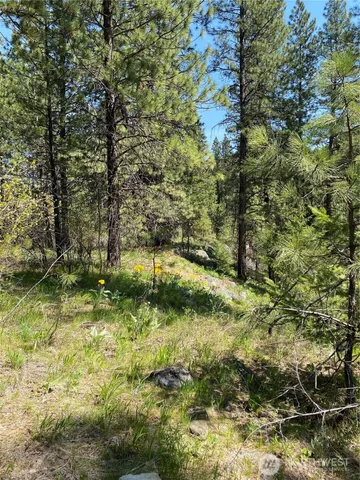 $329,900 | 0 Blewett Highway, Peshastin, WA 98847