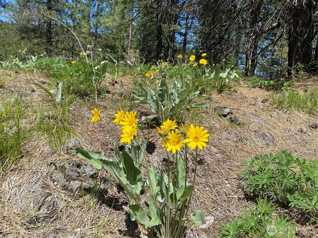 $329,900 | 0 Blewett Highway, Peshastin, WA 98847