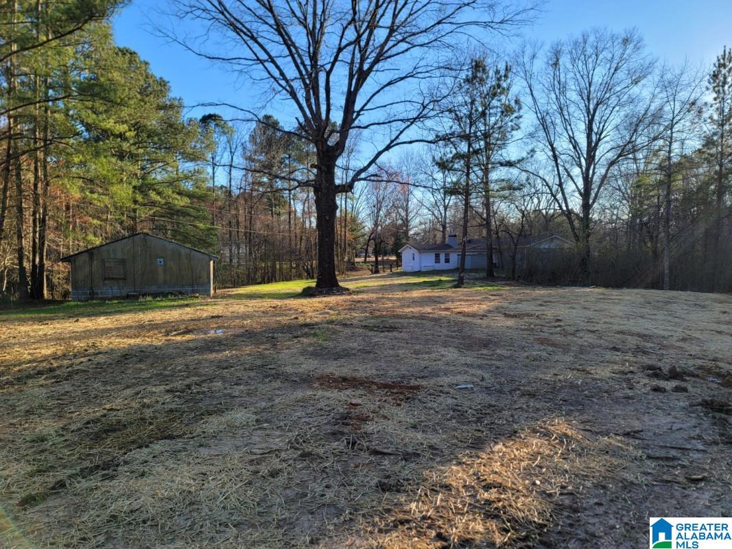 7248 Bishop Road Bessemer, AL 35022 - Photo 3 of 12