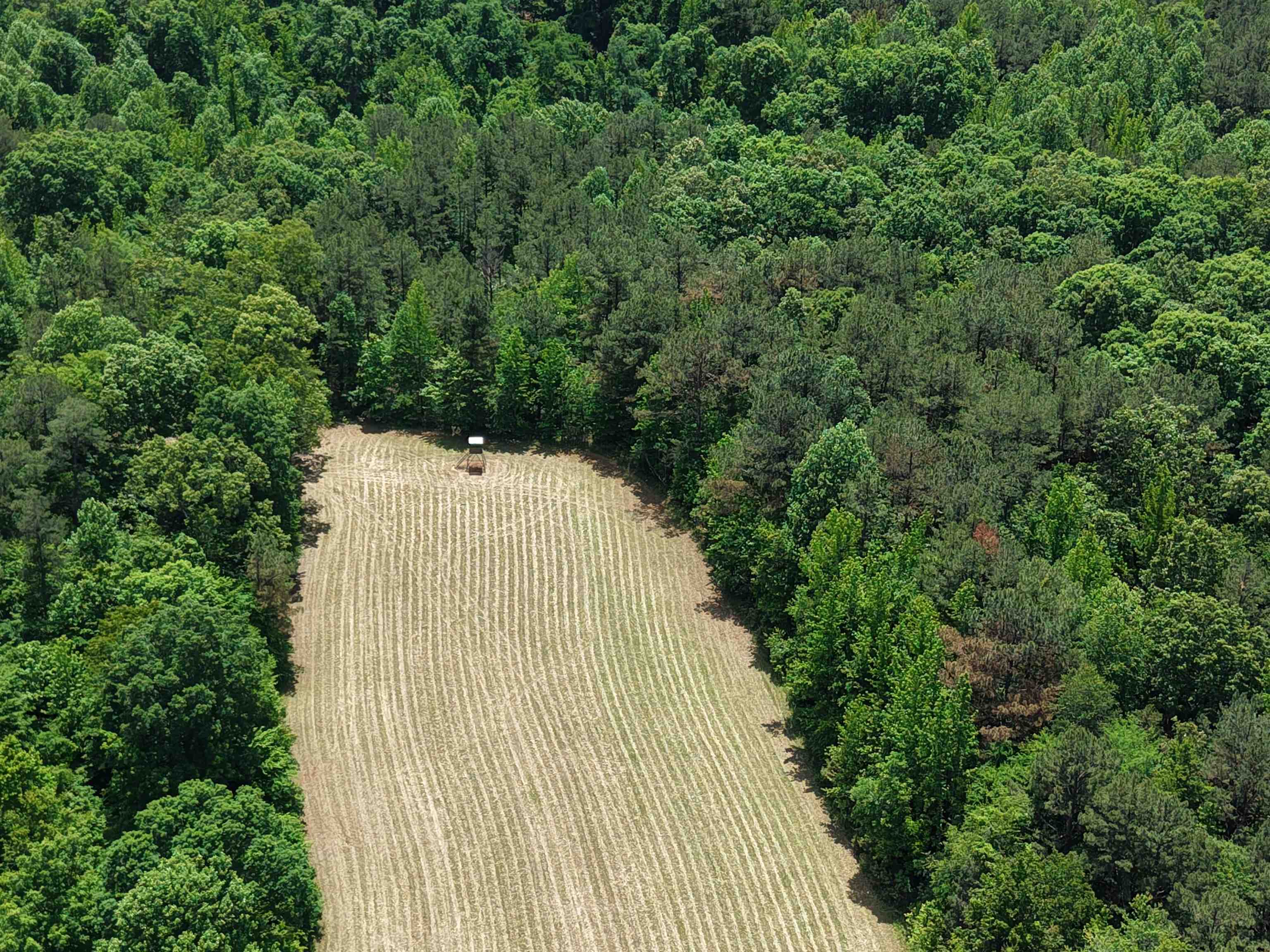 0 Silerton Road Toone, TN 38381 - Photo 5 of 24