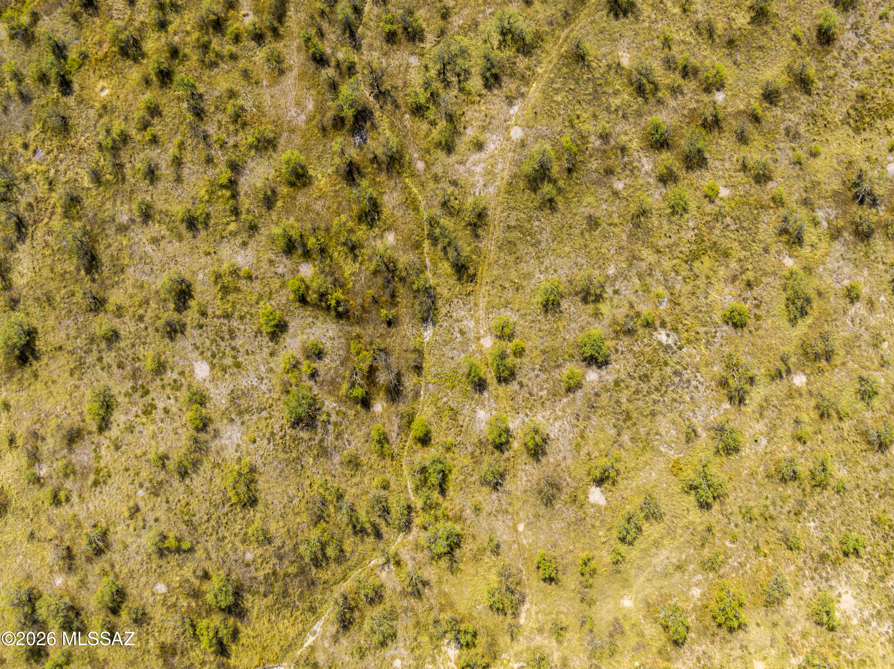 14735 West Jalisco Road Arivaca, AZ 85601 - Photo 5 of 10