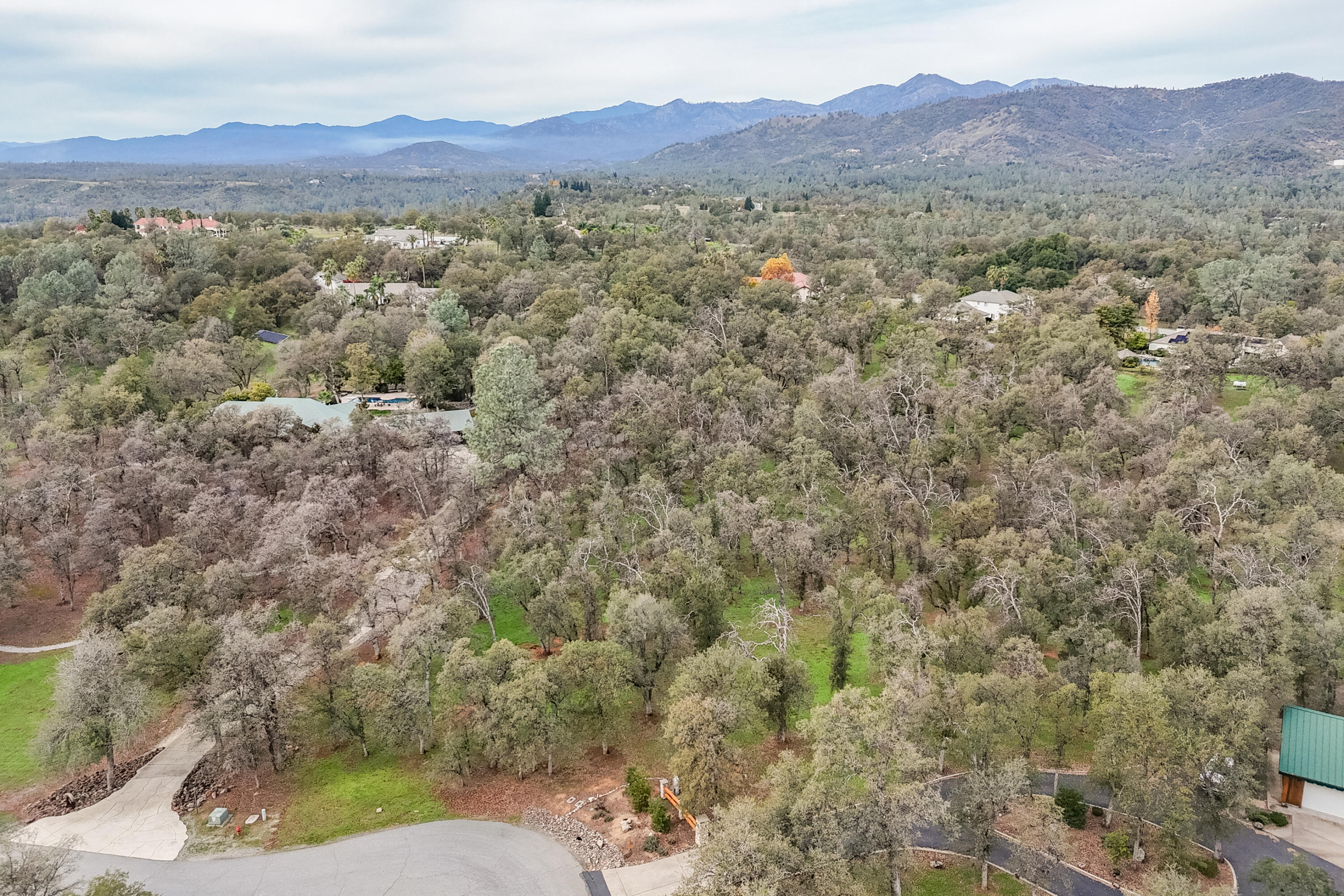 El Camino Robles Road Redding, CA 96001 - Photo 11 of 12 a view of a forest with mountains in the background