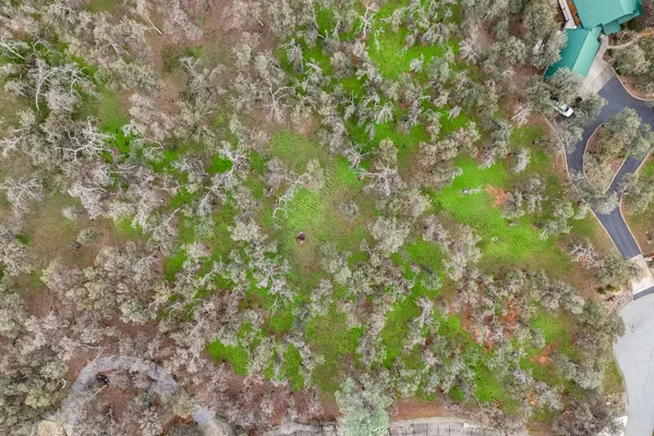 a backyard of a house with lots of plants