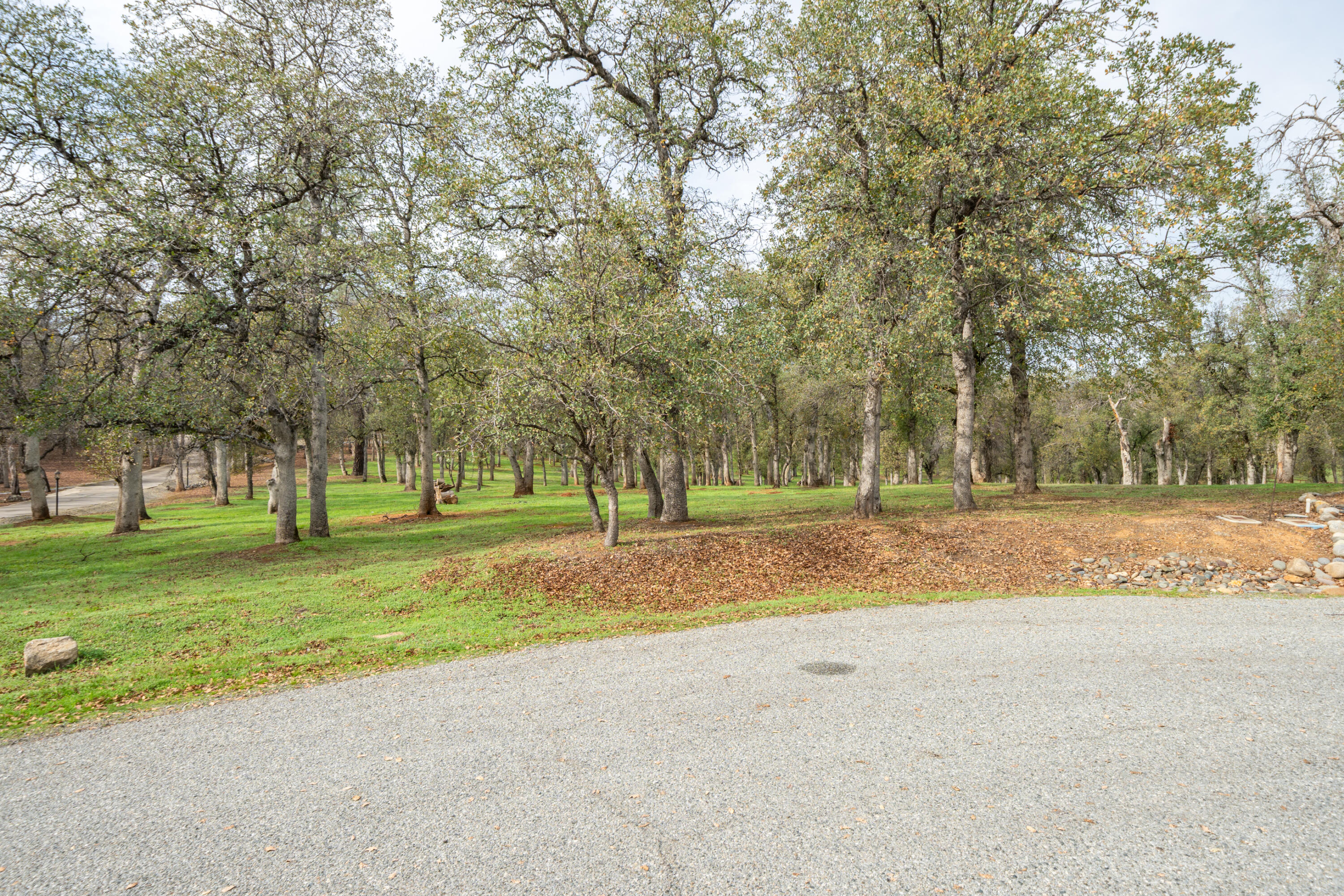 El Camino Robles Road Redding, CA 96001 - Photo 2 of 12 a view of a house with a big yard and large trees