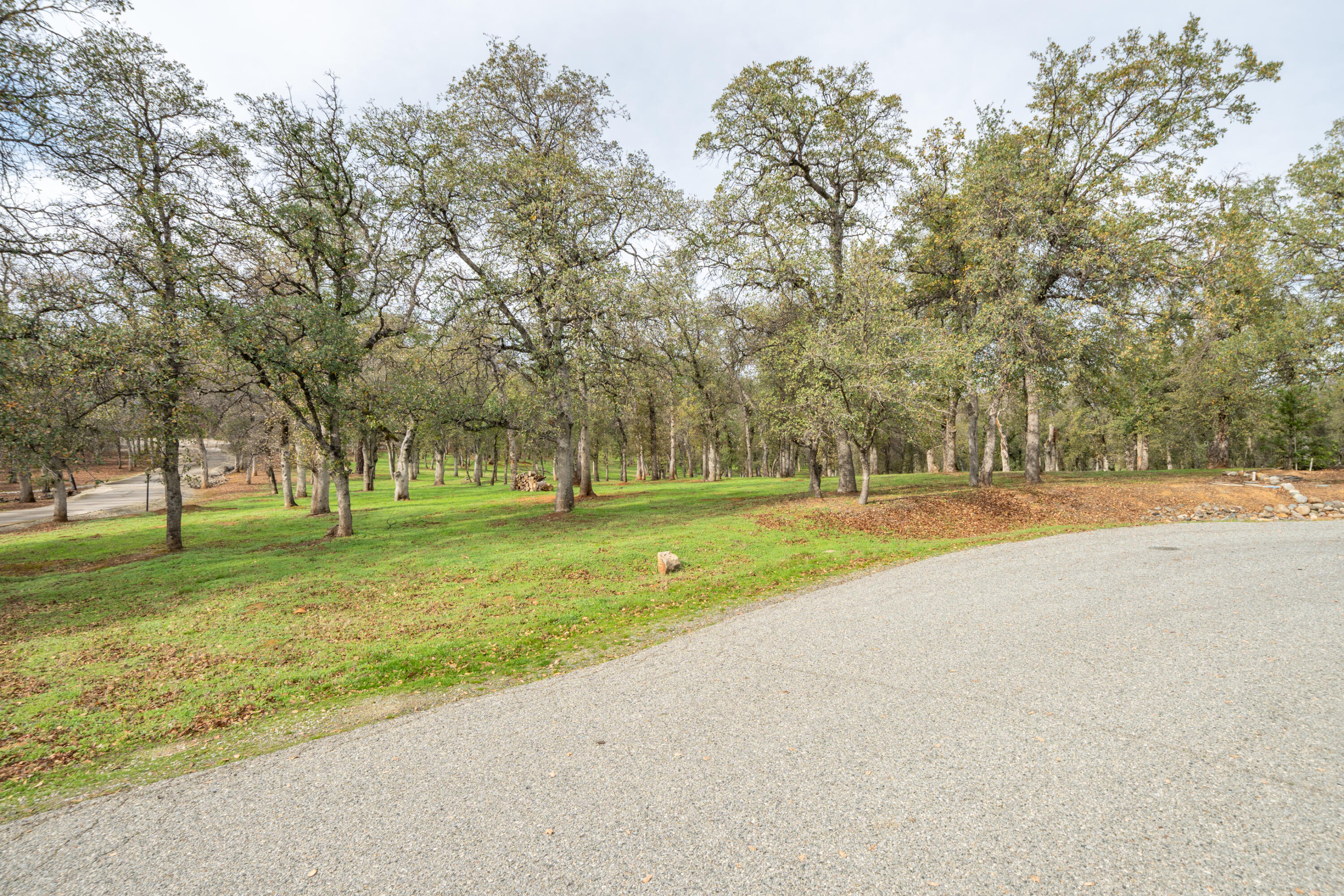 El Camino Robles Road Redding, CA 96001 - Photo 4 of 12 a view of outdoor space with swimming pool and trees