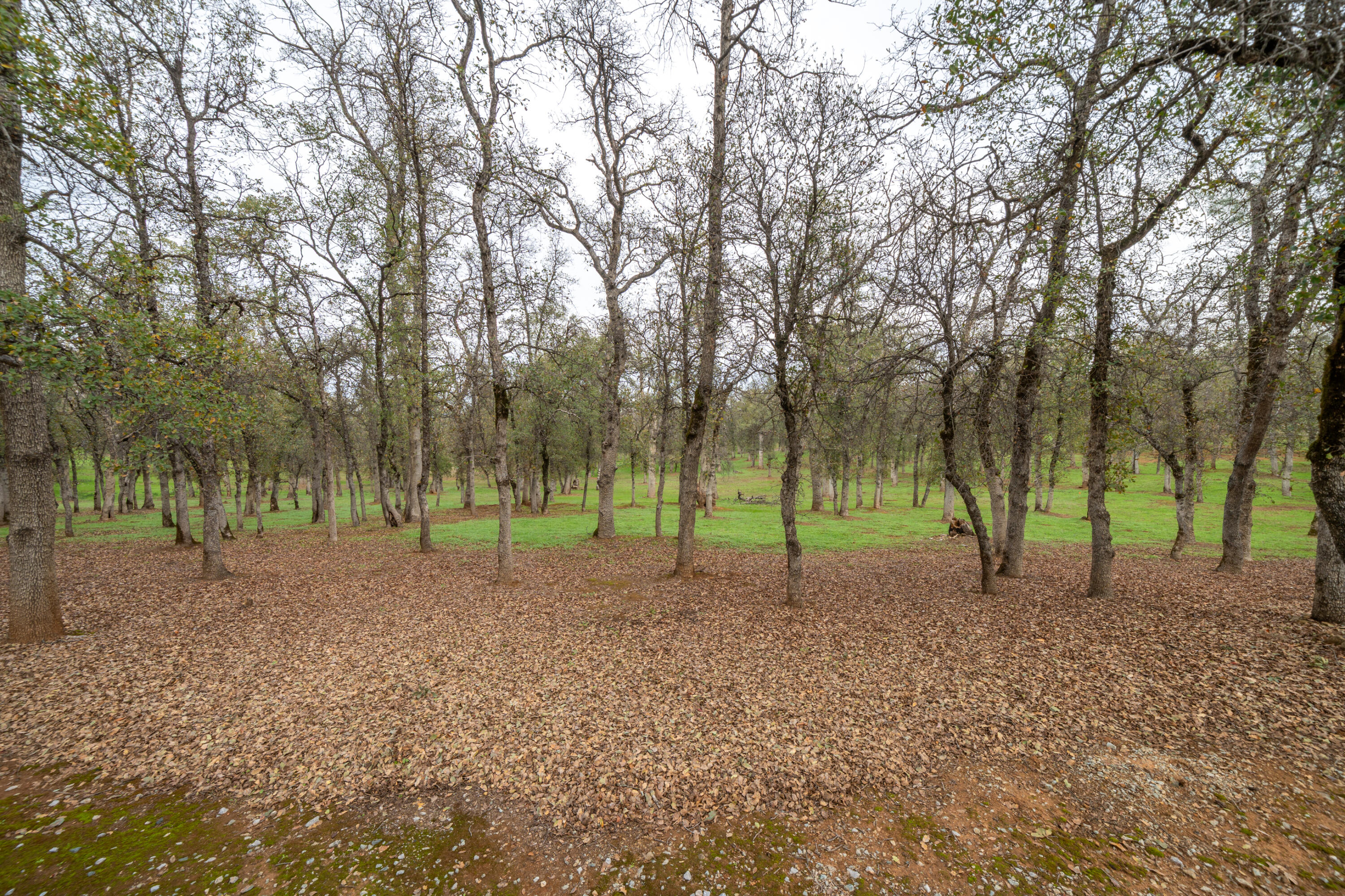 El Camino Robles Road Redding, CA 96001 - Photo 5 of 12 a view of a park