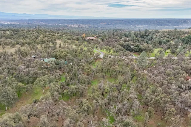 an aerial view of residential houses with outdoor space and trees