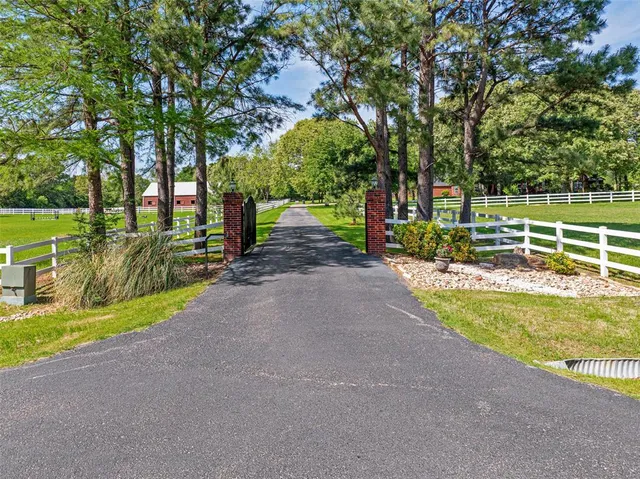a view of a yard with large trees