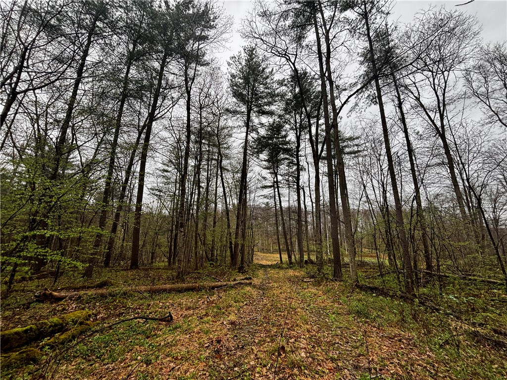 2093 Scott Road Erwin, NY 14858 - Photo 30 of 36 Gallery Image 30