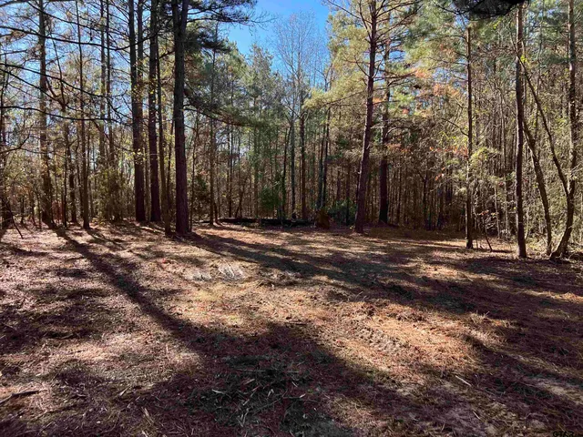 a view of outdoor space with trees