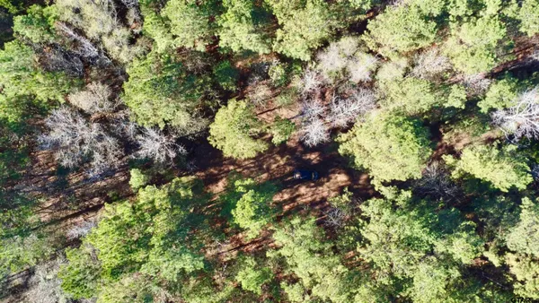 $85,056 | 2921 Hughes Springs, Hughes Springs, TX 75656