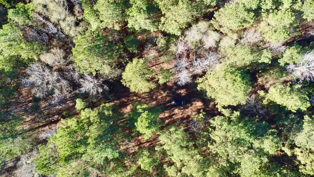 a view of outdoor space with deck and tree