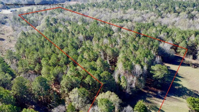 a view of a tree with a yard