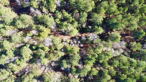 $85,056 | 2921 Hughes Springs, Hughes Springs, TX 75656