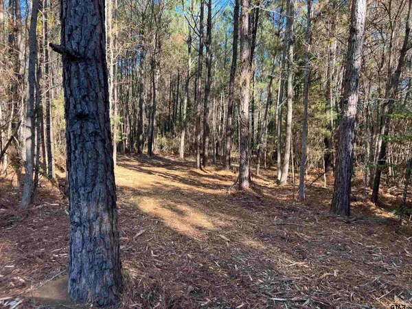 $85,056 | 2921 Hughes Springs, Hughes Springs, TX 75656