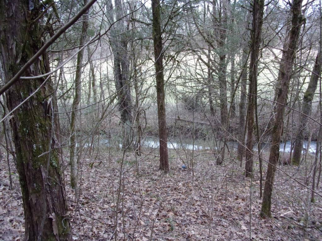 195 Brewer Road Rogersville, TN 37857 - Photo 13 of 36 Photo 13