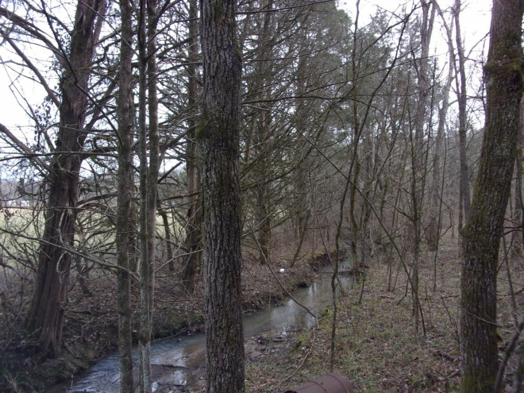 195 Brewer Road Rogersville, TN 37857 - Photo 14 of 36 Photo 14