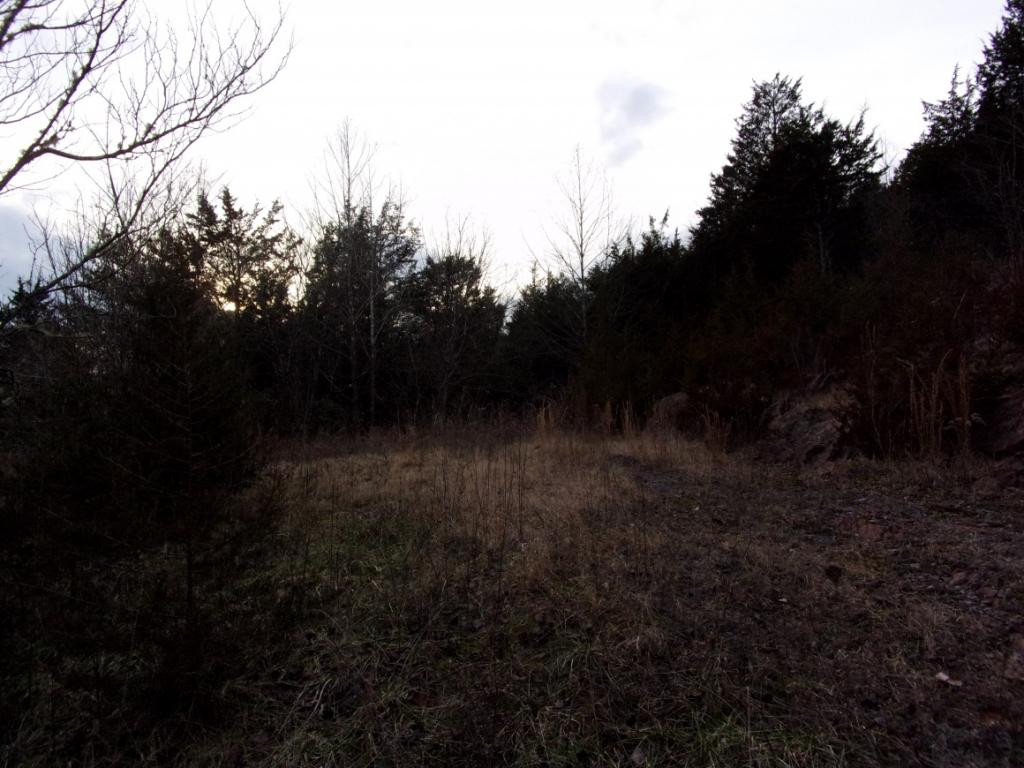 195 Brewer Road Rogersville, TN 37857 - Photo 15 of 36 Photo 15