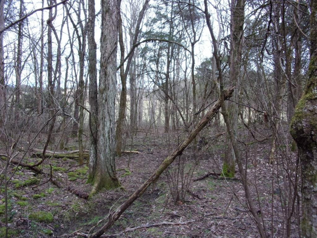 195 Brewer Road Rogersville, TN 37857 - Photo 23 of 36 Photo 23