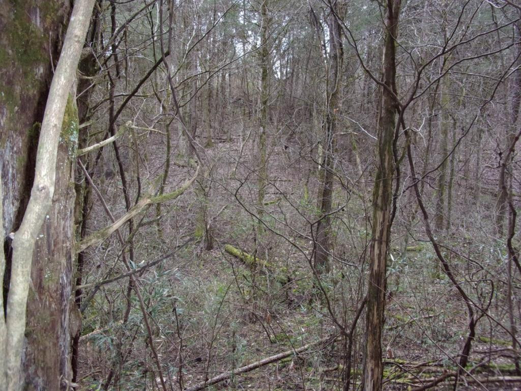 195 Brewer Road Rogersville, TN 37857 - Photo 25 of 36 Photo 25