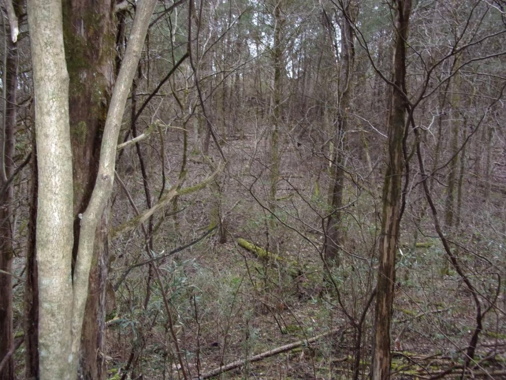 195 Brewer Road Rogersville, TN 37857 - Photo 26 of 36 Photo 26