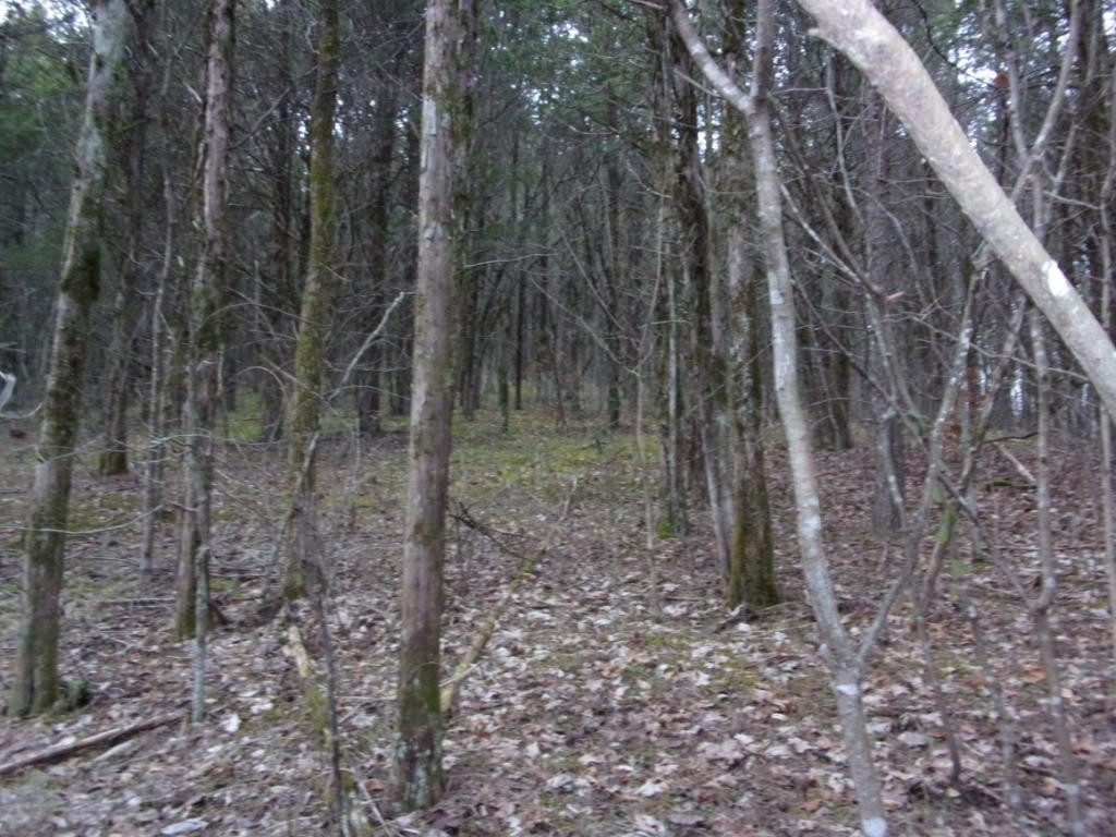 195 Brewer Road Rogersville, TN 37857 - Photo 27 of 36 Photo 27