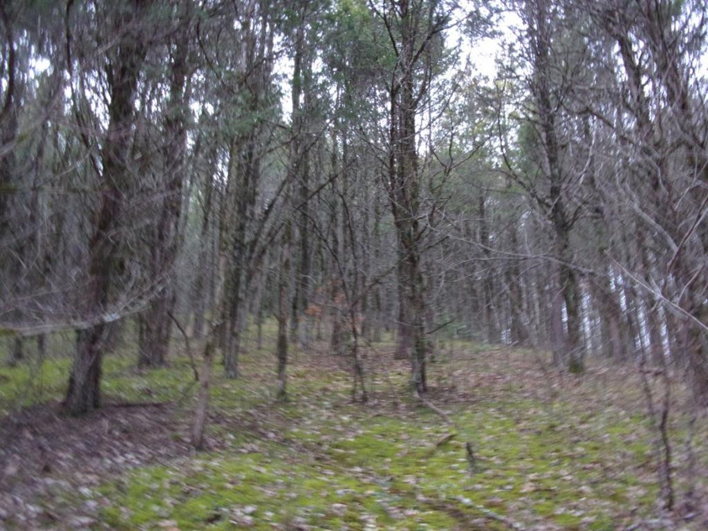 195 Brewer Road Rogersville, TN 37857 - Photo 28 of 36 Photo 28