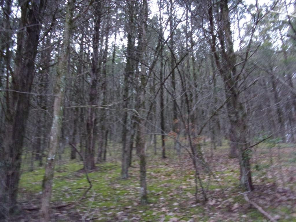 195 Brewer Road Rogersville, TN 37857 - Photo 29 of 36 Photo 29