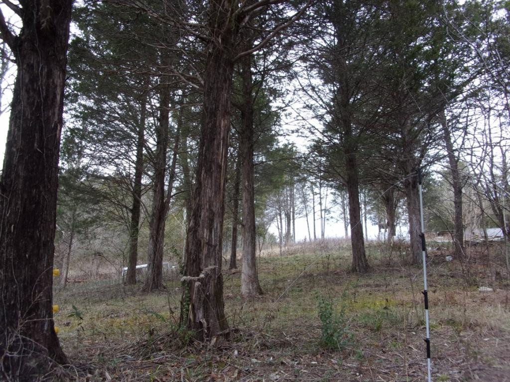 195 Brewer Road Rogersville, TN 37857 - Photo 8 of 36 Photo 8