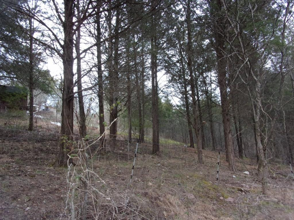 195 Brewer Road Rogersville, TN 37857 - Photo 9 of 36 Photo 9