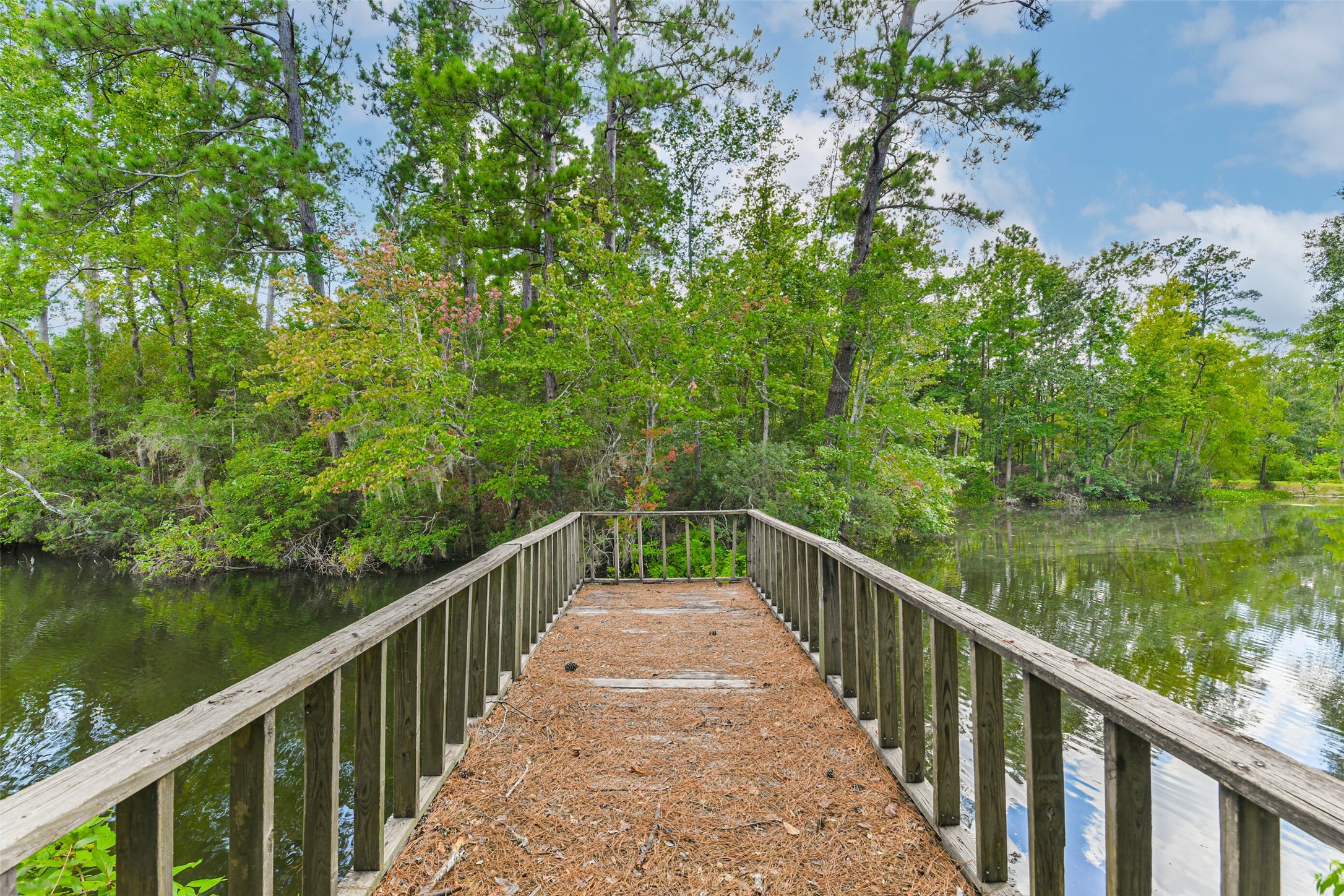 88 Raccoon Ramble Cleveland, TX 77327 - Photo 29 of 43 Tranquil wooded view from a lakeside dock, perfect for relaxation and nature enjoyment.