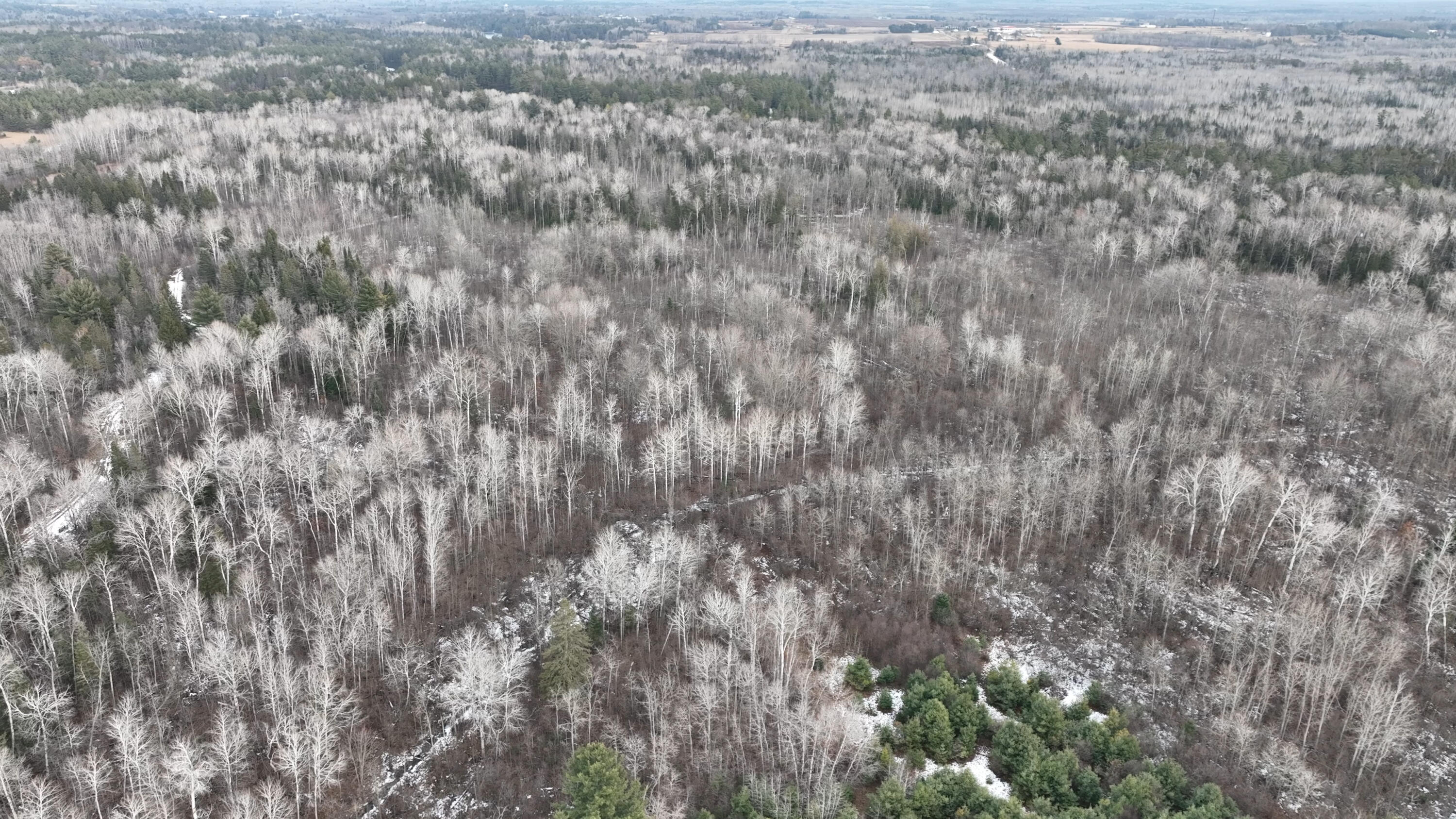 Lot 1 Funk Road Hillman, MI 49746 - Photo 13 of 25 Gallery Image 13