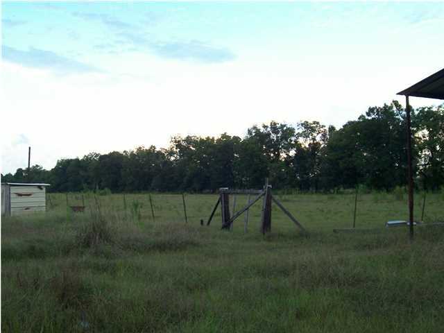 Primary Photo