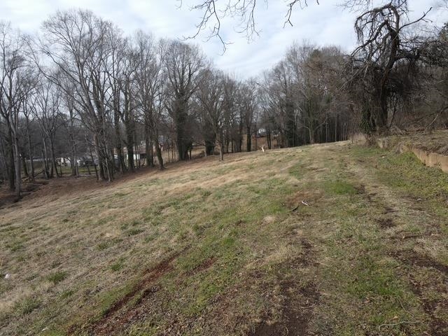 0 North Alabama Avenue Chesnee, SC 29323 - Photo 6 of 10