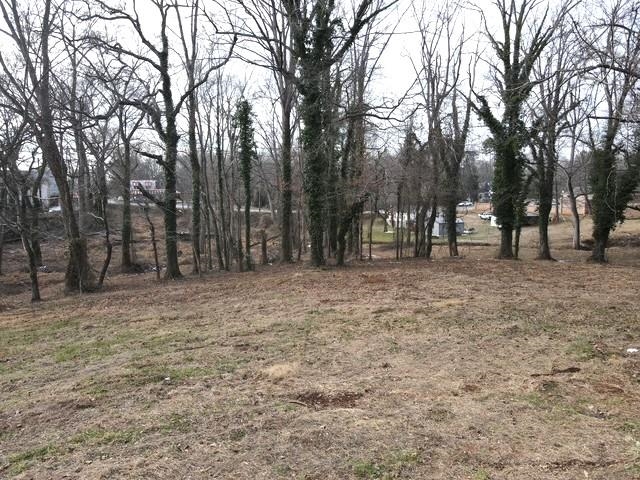 0 North Alabama Avenue Chesnee, SC 29323 - Photo 8 of 10