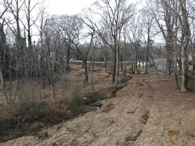0 North Alabama Avenue Chesnee, SC 29323 - Photo 9 of 10
