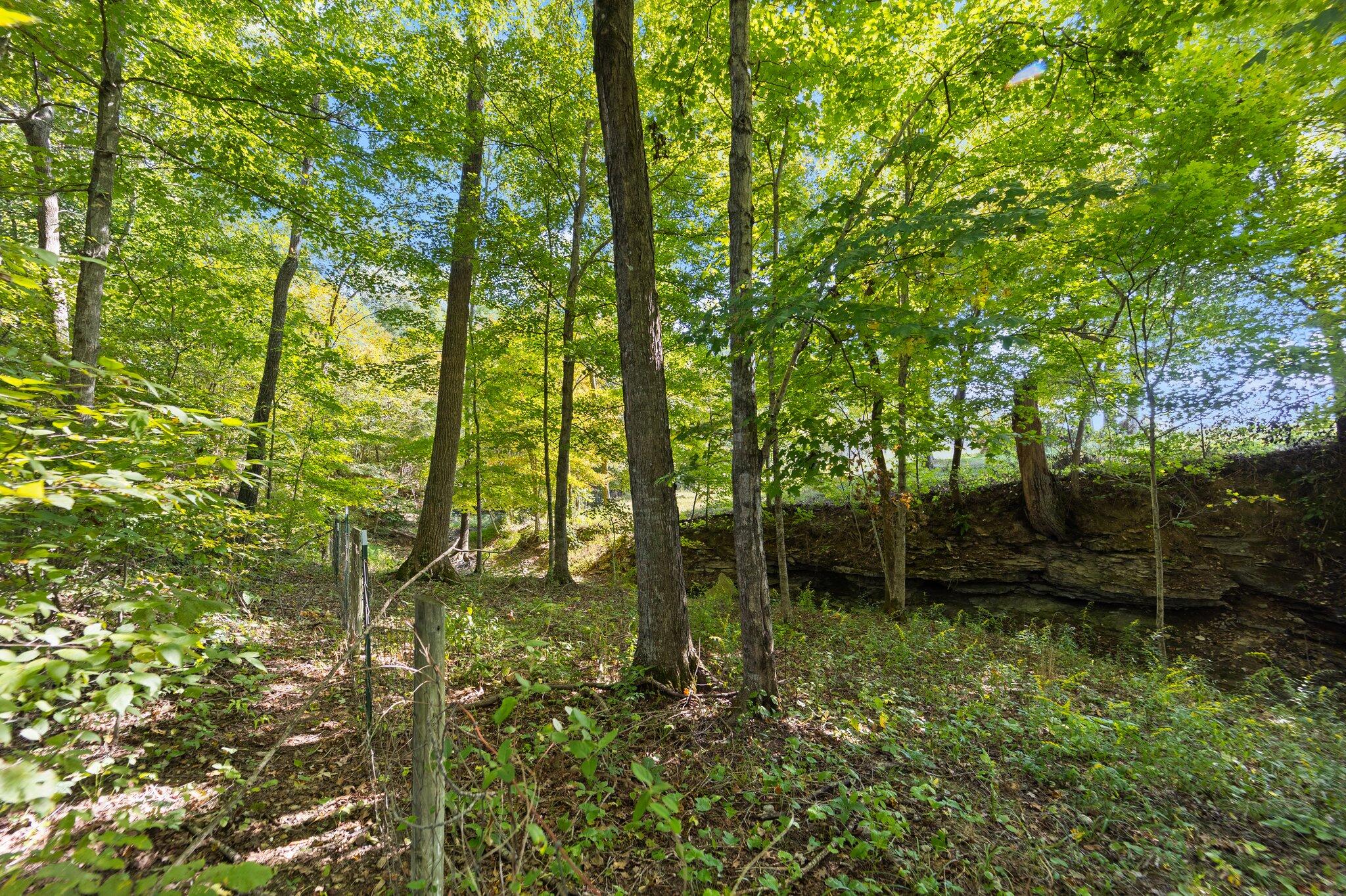 2015 Ellison Pulaski Road Eubank, KY 42567 - Photo 17 of 48 46-web-or-mls-NJ9A7422