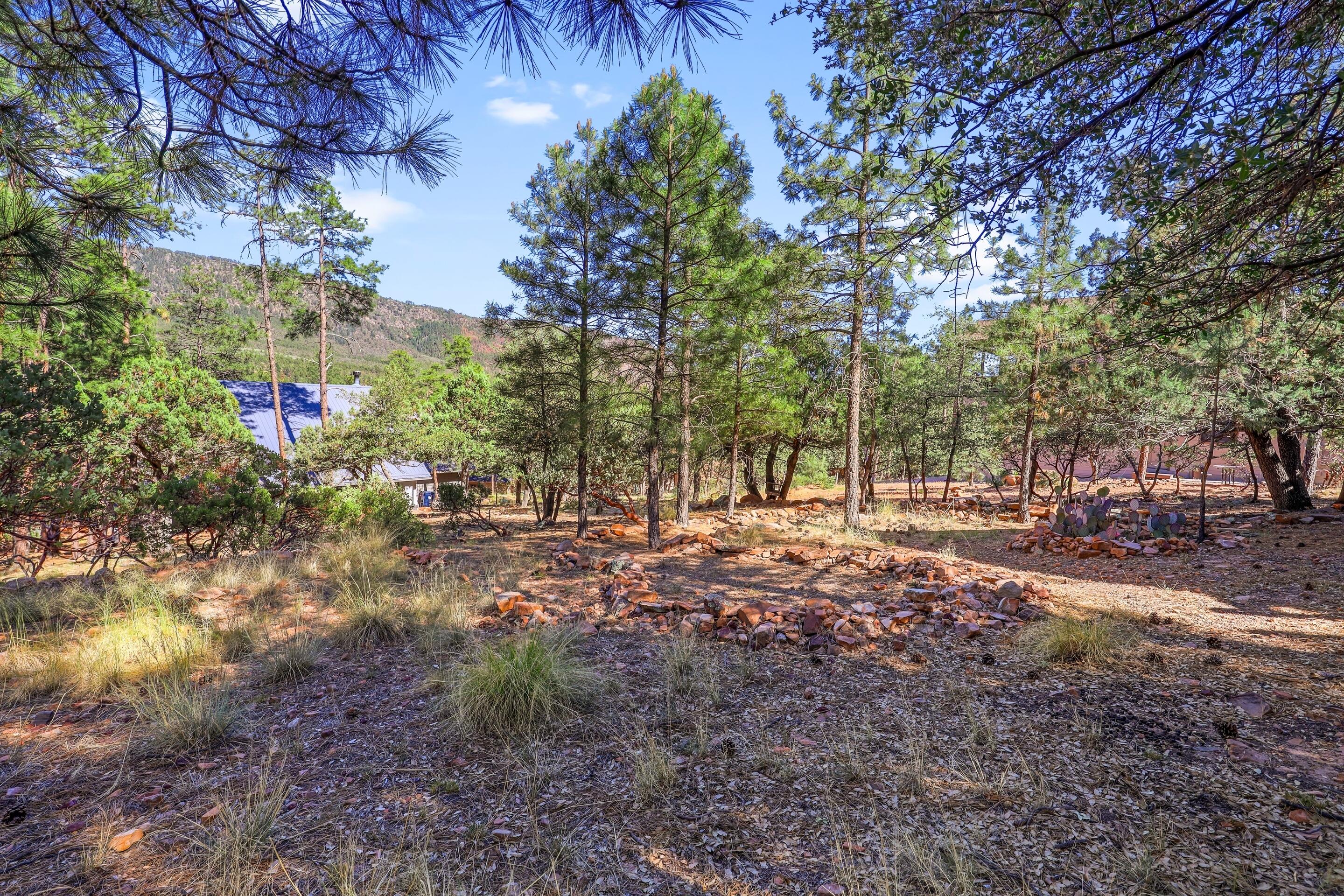 5108 Juniper Loop Pine, AZ 85544 - Photo 27 of 27 mls-1E0A9017