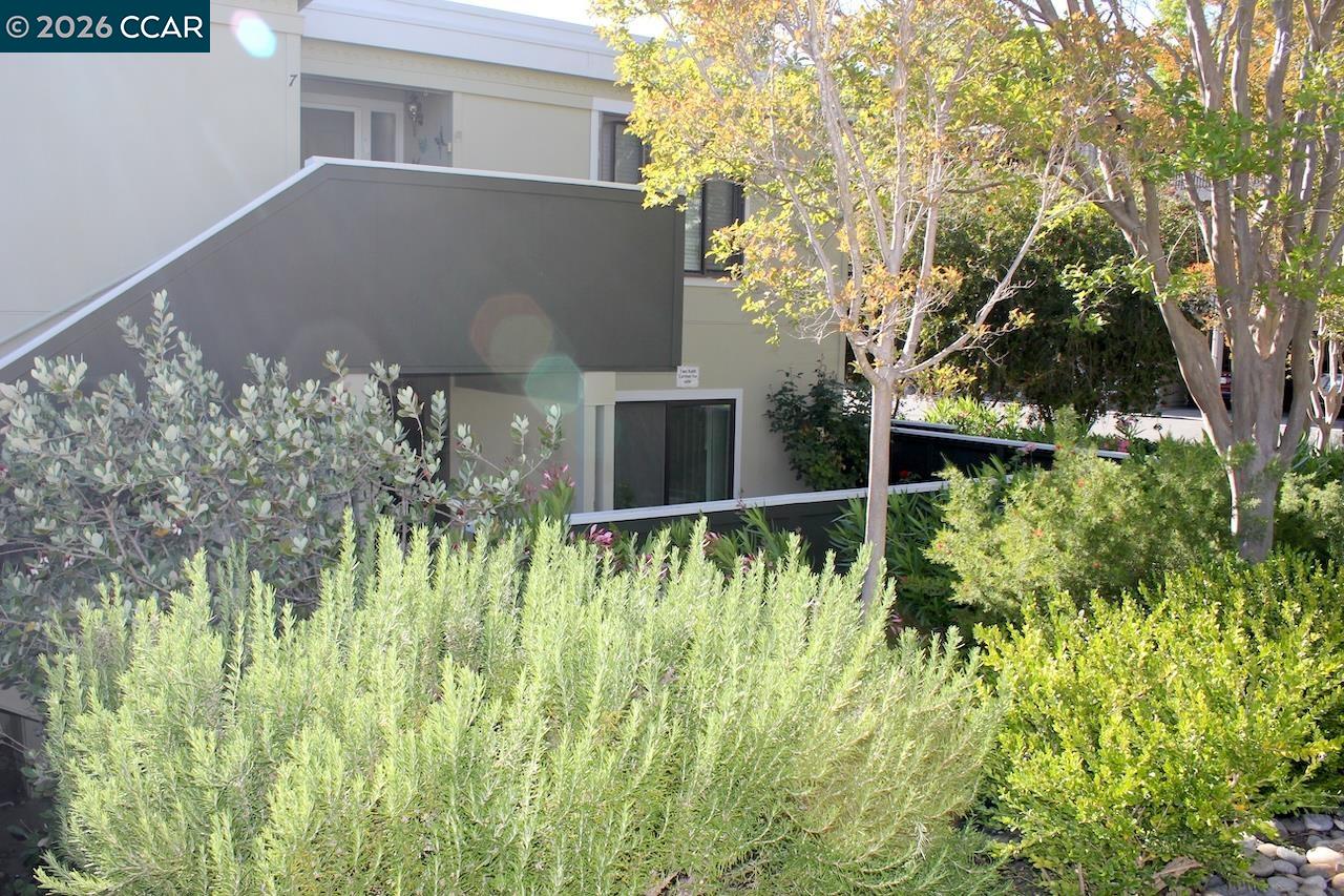 2057 Golden Rain Road, Unit 8 Walnut Creek, CA 94595 - Photo 2 of 78
