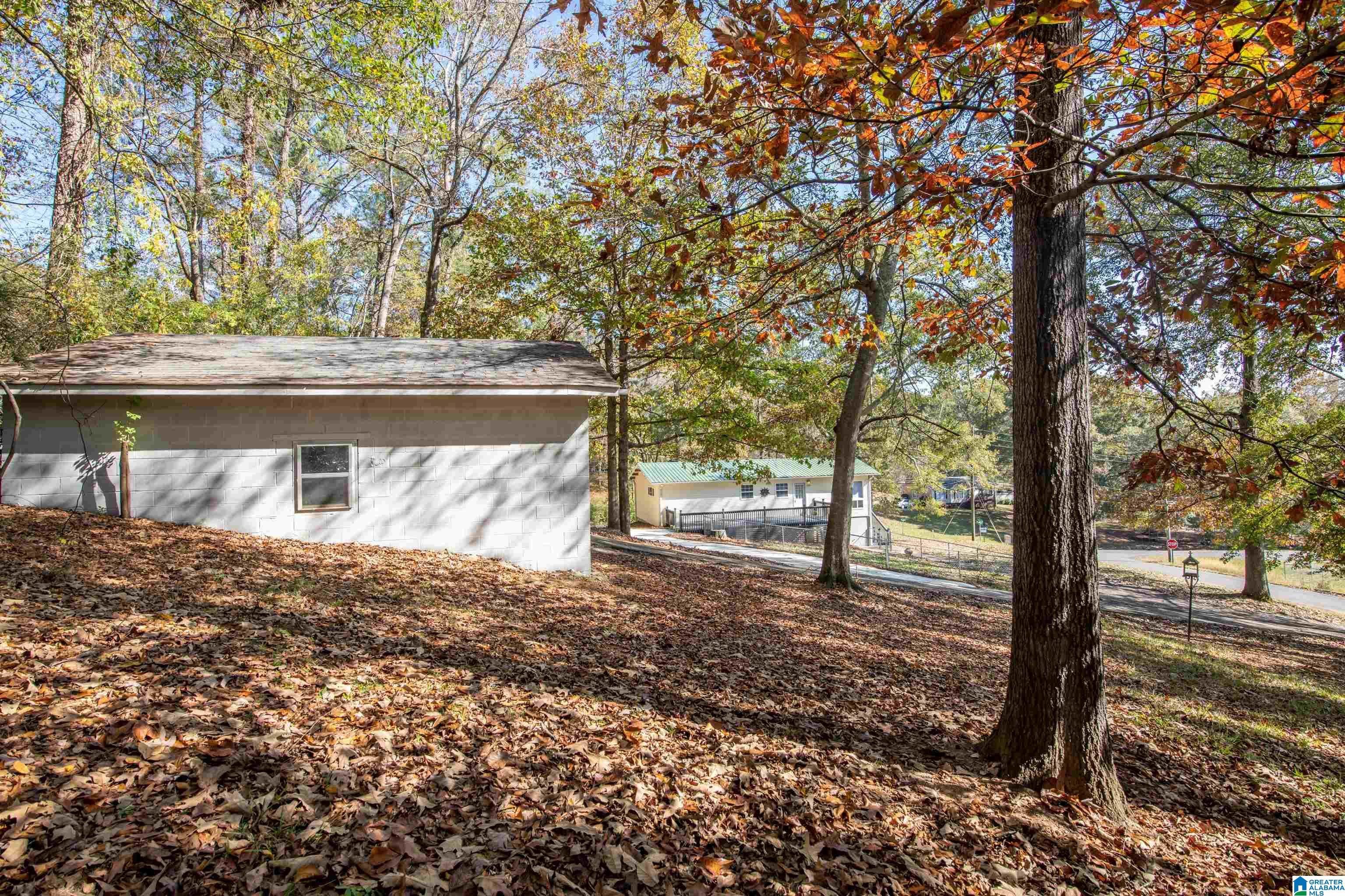 191 Wilson Street Springville, AL 35146 - Photo 43 of 51