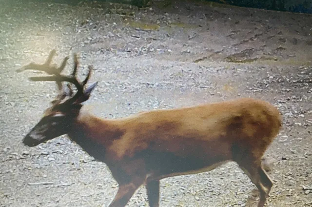 $290,440 | Lot 13-1 West Mcmann & Meadow Roads, Addison, ME 04606