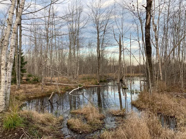 $290,440 | Lot 13-1 West Mcmann & Meadow Roads, Addison, ME 04606